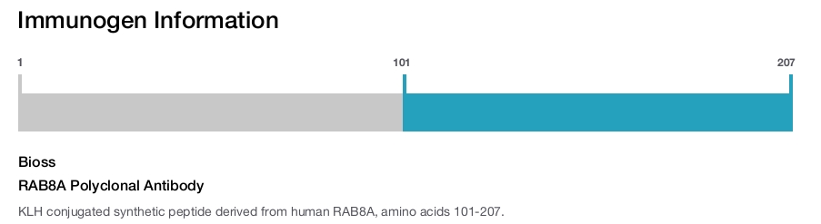 RAB8A Polyclonal Antibody