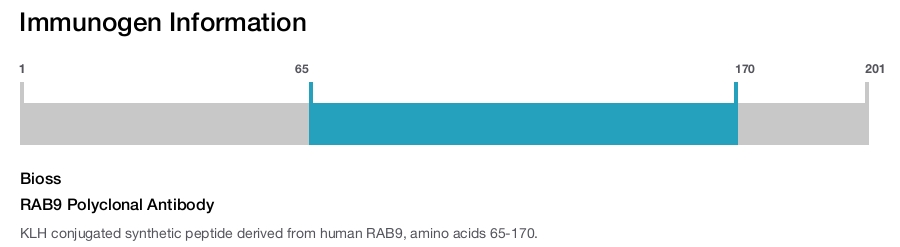 RAB9 Polyclonal Antibody