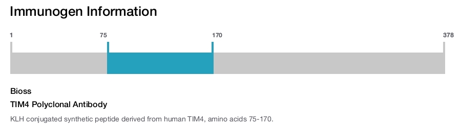 TIM4 Polyclonal Antibody