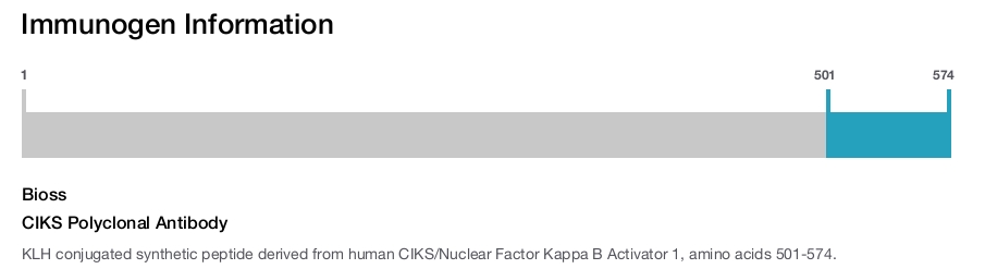 CIKS Polyclonal Antibody