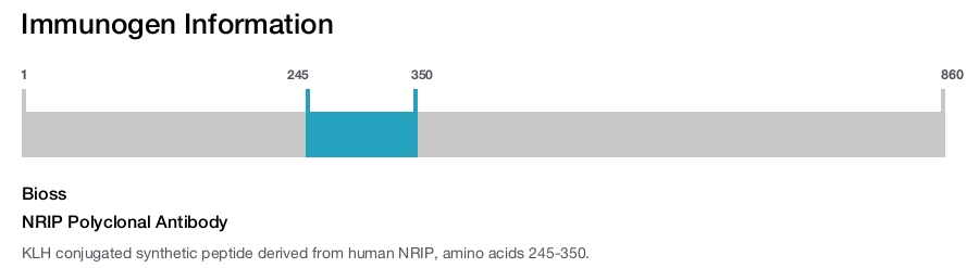 NRIP Polyclonal Antibody