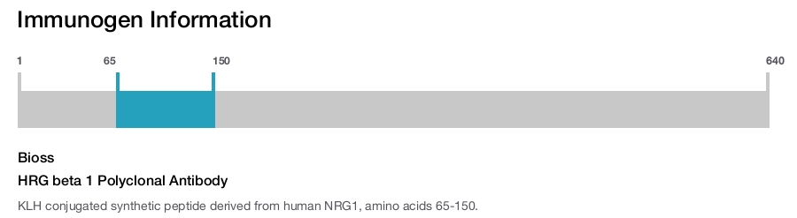 HRG beta 1 Polyclonal Antibody