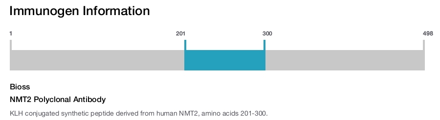NMT2 Polyclonal Antibody