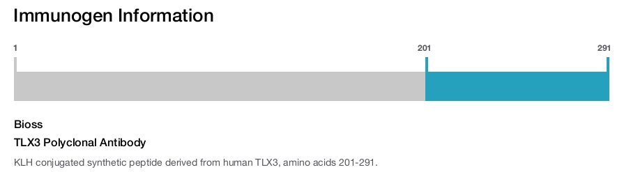 TLX3 Polyclonal Antibody