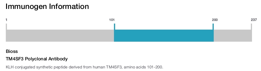 TM4SF3 Polyclonal Antibody
