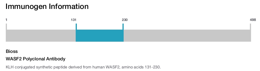 WASF2 Polyclonal Antibody
