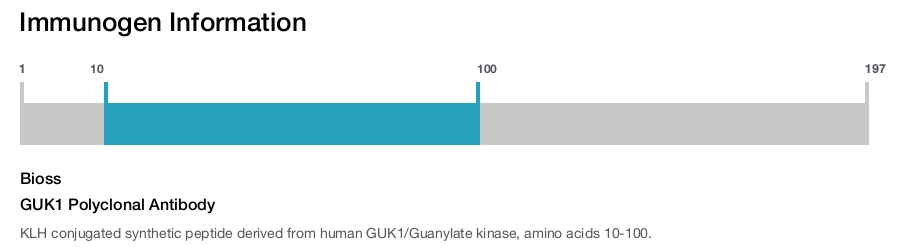 GUK1 Polyclonal Antibody