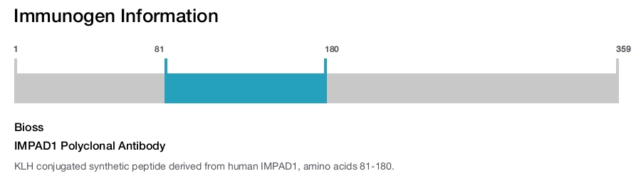 IMPAD1 Polyclonal Antibody