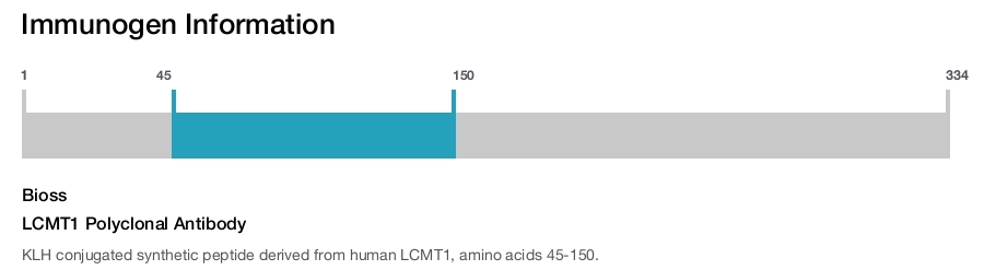 LCMT1 Polyclonal Antibody