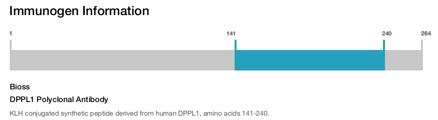 DPPL1 Polyclonal Antibody