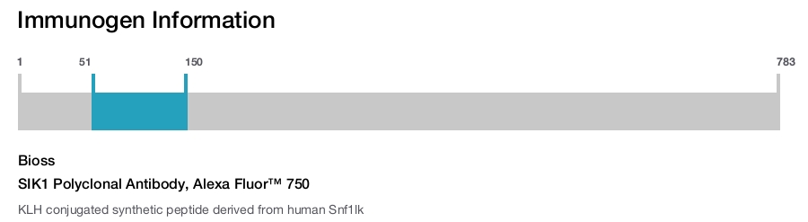 SIK1 Polyclonal Antibody, Alexa Fluor&trade; 750