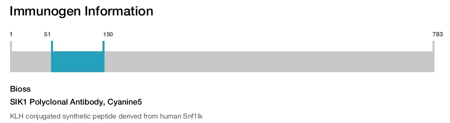 SIK1 Polyclonal Antibody, Cyanine5