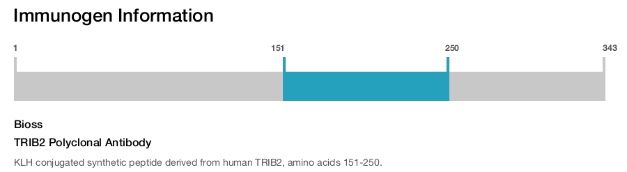 TRIB2 Polyclonal Antibody