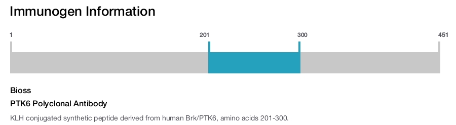 PTK6 Polyclonal Antibody