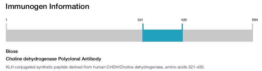 Choline dehydrogenase Polyclonal Antibody