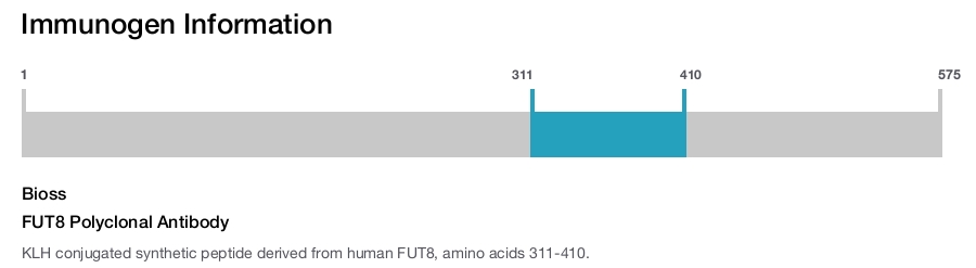 FUT8 Polyclonal Antibody