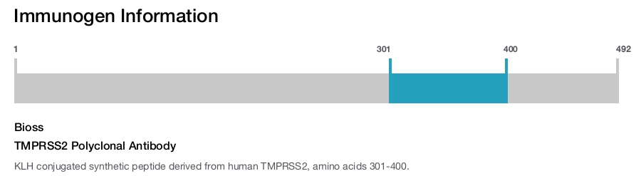 TMPRSS2 Polyclonal Antibody