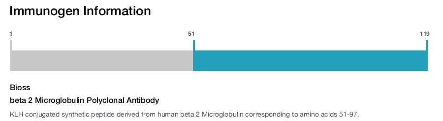 beta 2 Microglobulin Polyclonal Antibody