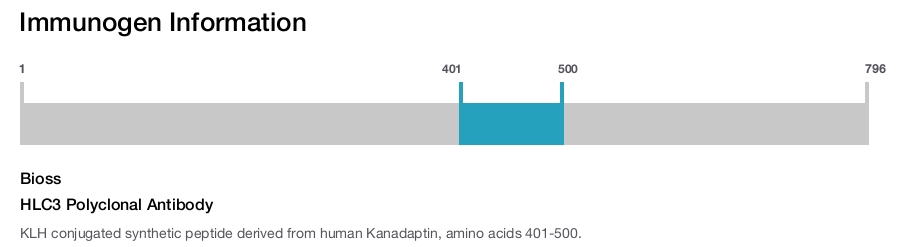 HLC3 Polyclonal Antibody