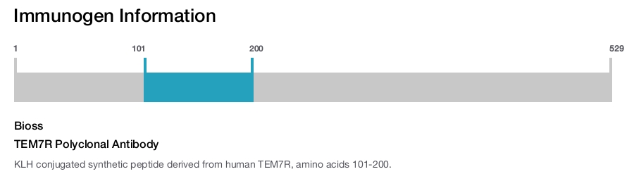 TEM7R Polyclonal Antibody