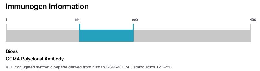 GCMA Polyclonal Antibody