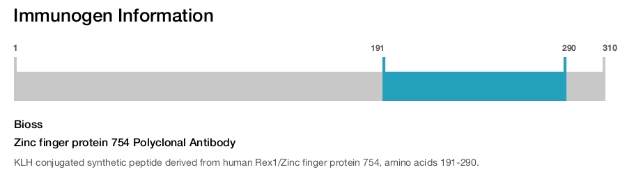 Zinc finger protein 754 Polyclonal Antibody