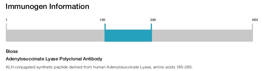 Adenylosuccinate Lyase Polyclonal Antibody
