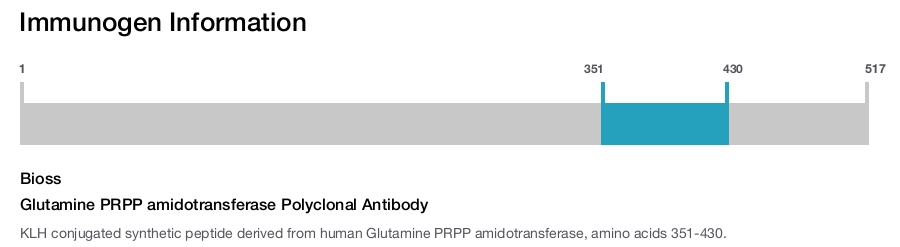 Glutamine PRPP amidotransferase Polyclonal Antibody