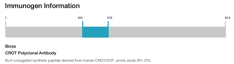 CROT Polyclonal Antibody