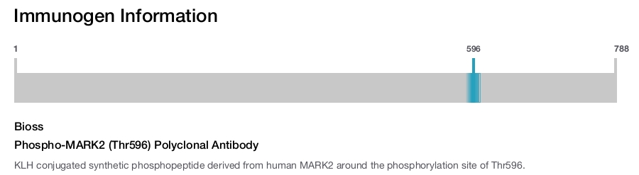 Phospho-MARK2 (Thr596) Polyclonal Antibody
