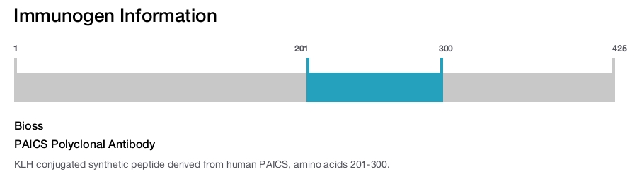 PAICS Polyclonal Antibody