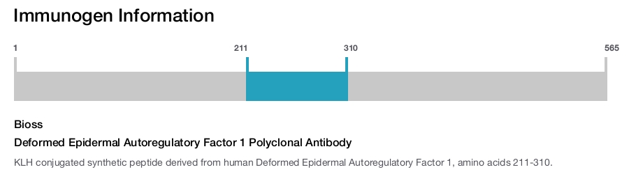 Deformed Epidermal Autoregulatory Factor 1 Polyclonal Antibody