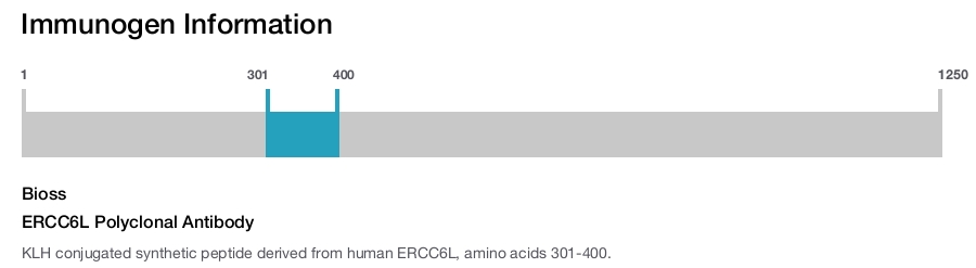 ERCC6L Polyclonal Antibody
