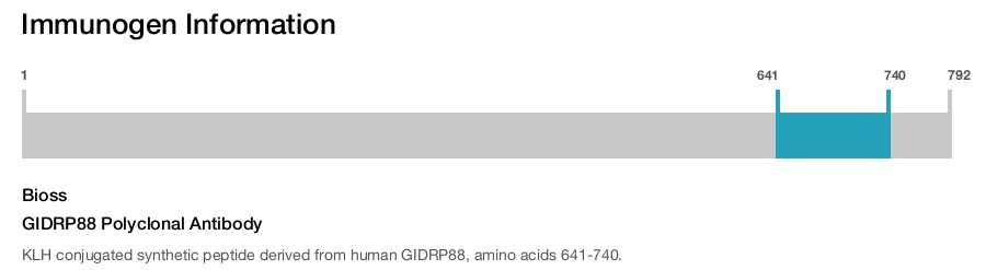 GIDRP88 Polyclonal Antibody