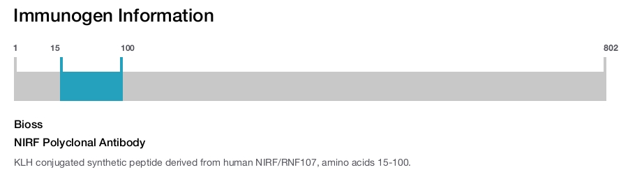 NIRF Polyclonal Antibody