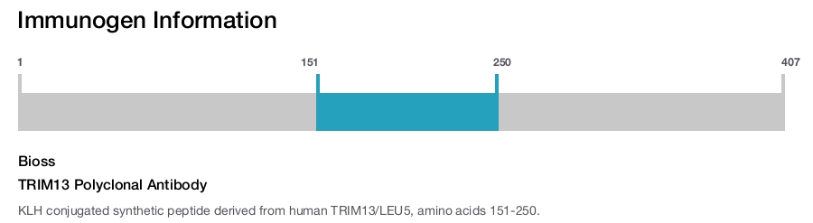 TRIM13 Polyclonal Antibody