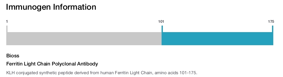 Ferritin Light Chain Polyclonal Antibody