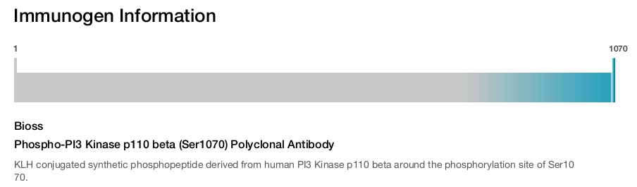 Phospho-PI3 Kinase p110 beta (Ser1070) Polyclonal Antibody