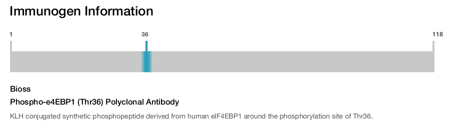 Phospho-e4EBP1 (Thr36) Polyclonal Antibody