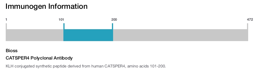CATSPER4 Polyclonal Antibody