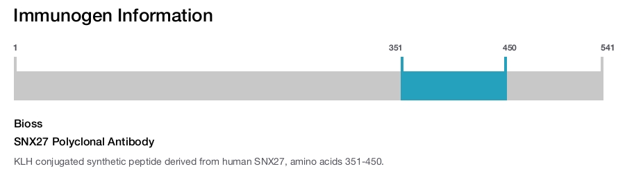 SNX27 Polyclonal Antibody
