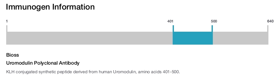 Uromodulin Polyclonal Antibody