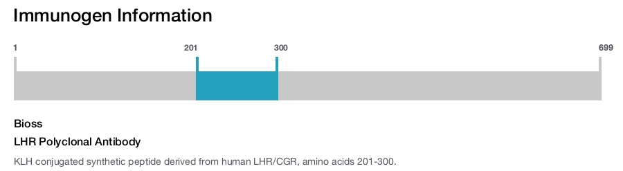 LHR Polyclonal Antibody