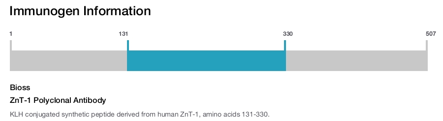 ZnT-1 Polyclonal Antibody