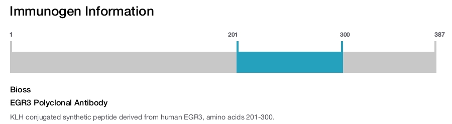 EGR3 Polyclonal Antibody