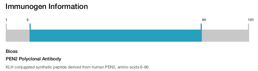 PEN2 Polyclonal Antibody