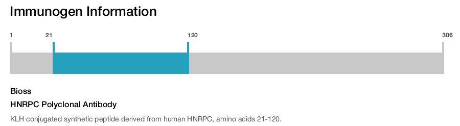 HNRPC Polyclonal Antibody