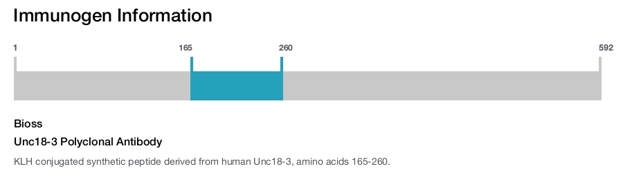 Unc18-3 Polyclonal Antibody