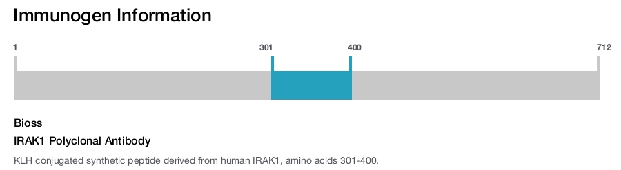 IRAK1 Polyclonal Antibody