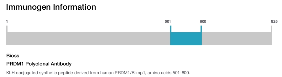 PRDM1 Polyclonal Antibody